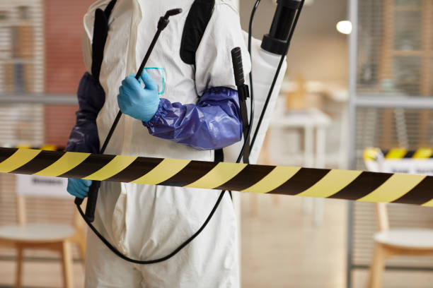 Professional Hoarding Cleanup technician working in Vashon, WA